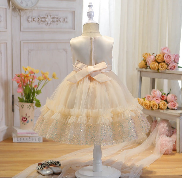 Vestido de Fiesta Infantil Tul Brillante Encaje