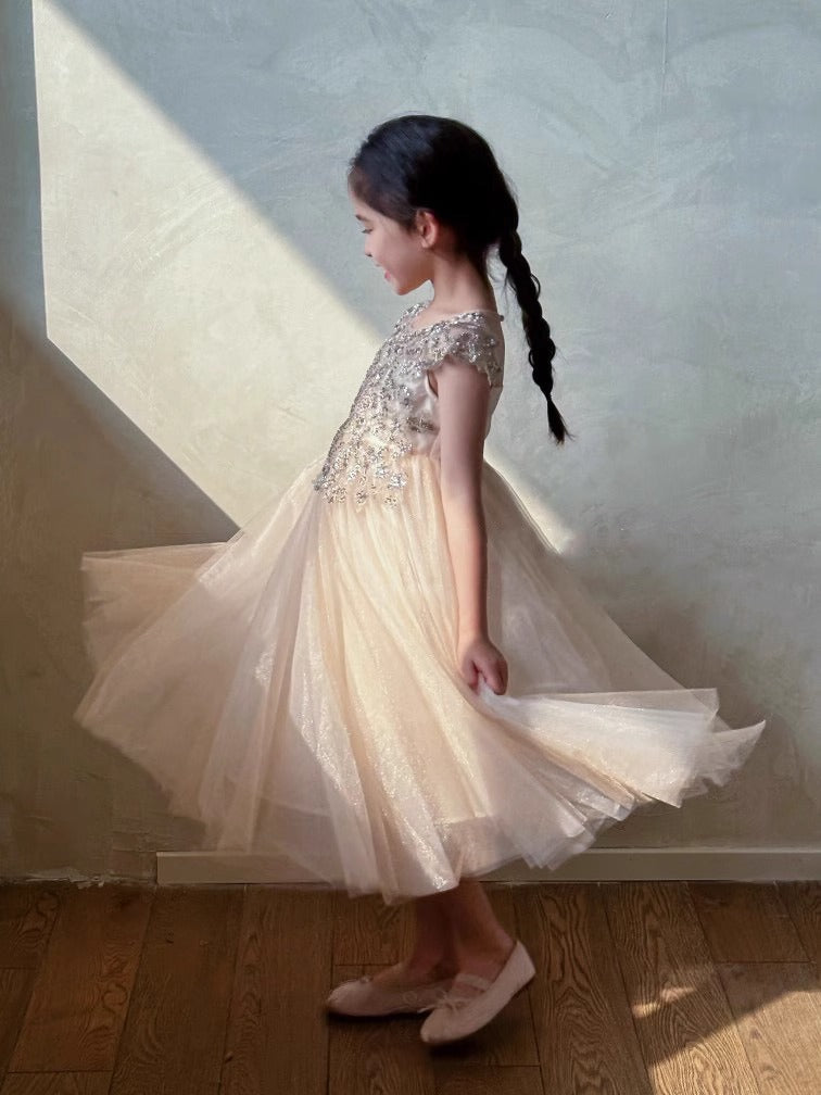 Vestido Infantil Princesa Brillante