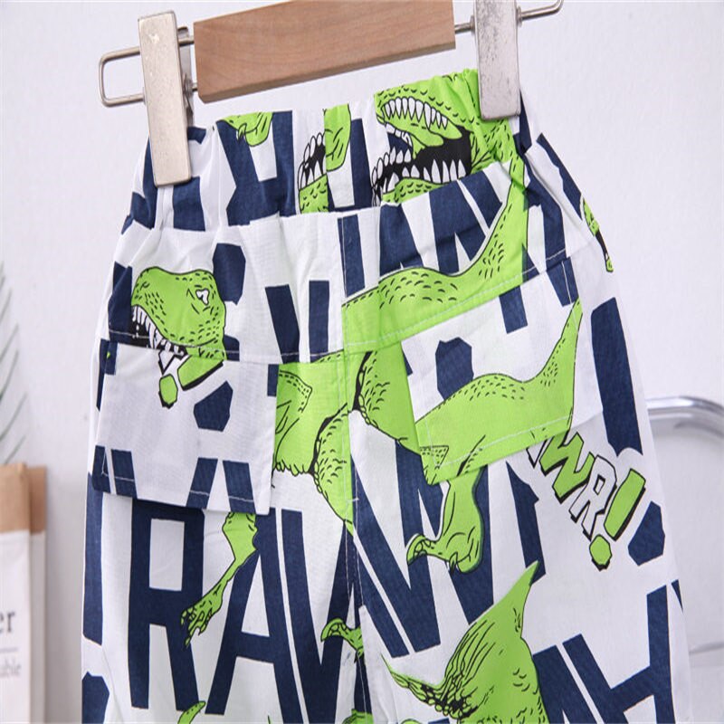 Conjunto Infantil Verano Letras Dinosaurios