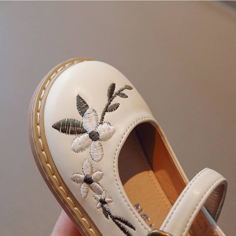 Zapatos bordados de princesa