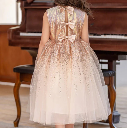 Vestido Infantil Princesa Lazo Brillante