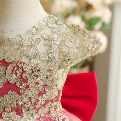 Vestido de Princesa de Encaje de Lujo para Niños